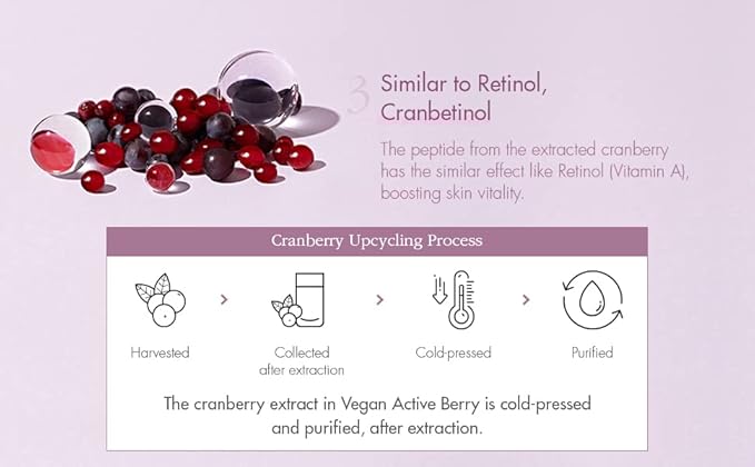 Dr. Ceuracle - Vegan Active Berry First Essence 150ml