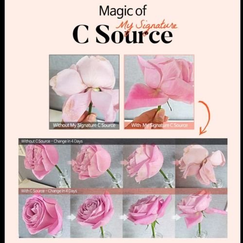 Tiam – My Signature C Source 30ml