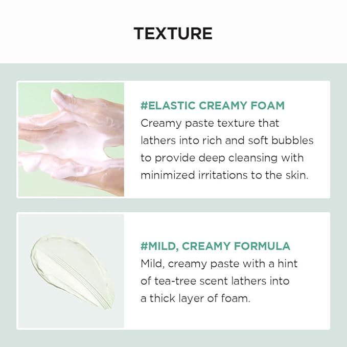 Skin1004 – Madagascar Centella Tea-BHA Foam 125ml