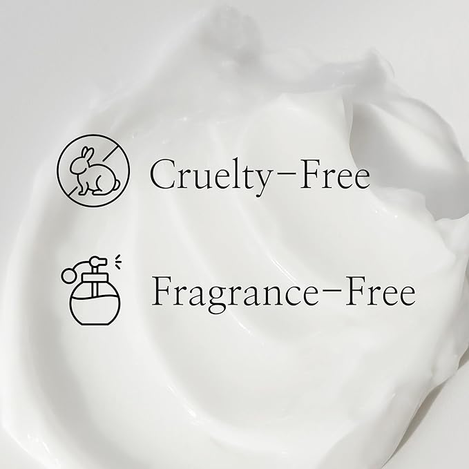 Beauty of Joseon - Dynasty Cream 50ml