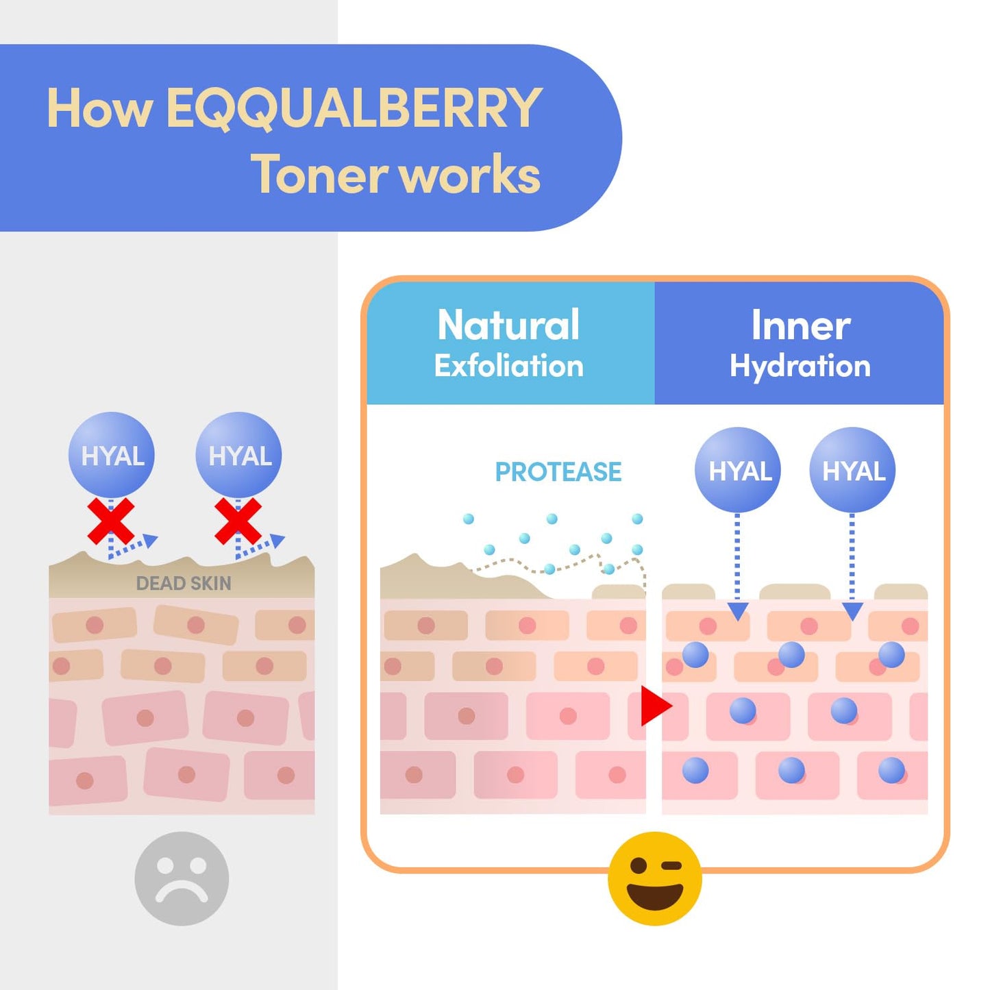 Eqqualberry – Swimming Pool Toner 155ml