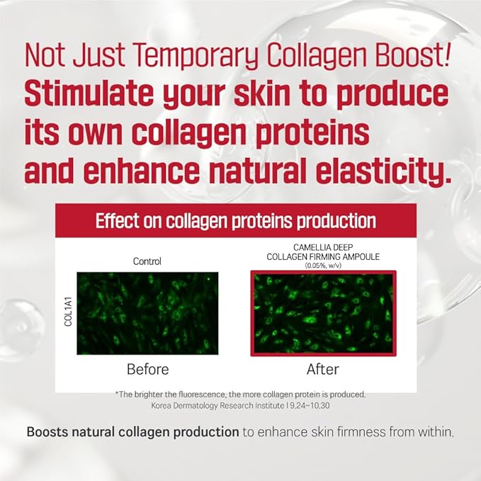 Round Lab – Camellia Deep Collagen Firming Sun Serum 50ml