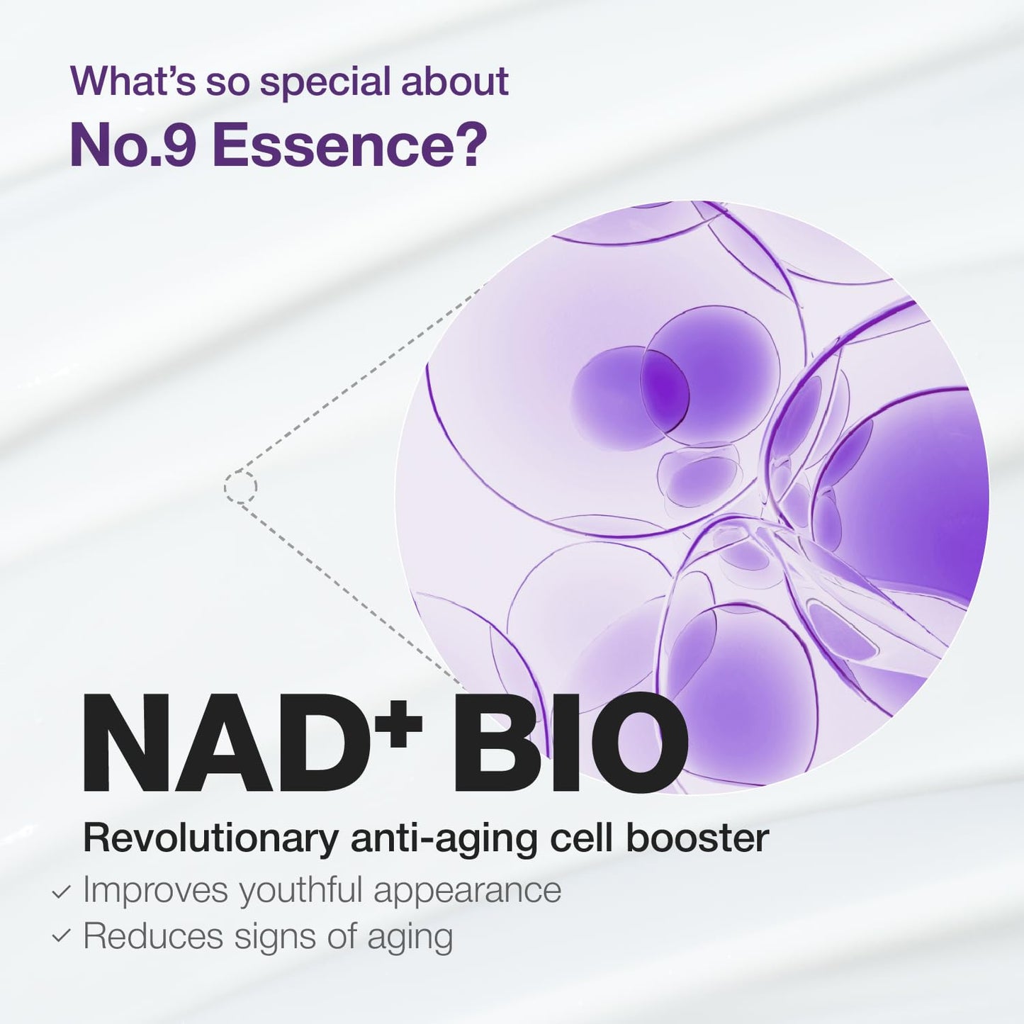 Numbuzin – No. 9 NAD Bio Lifting-sil Essence 50ml