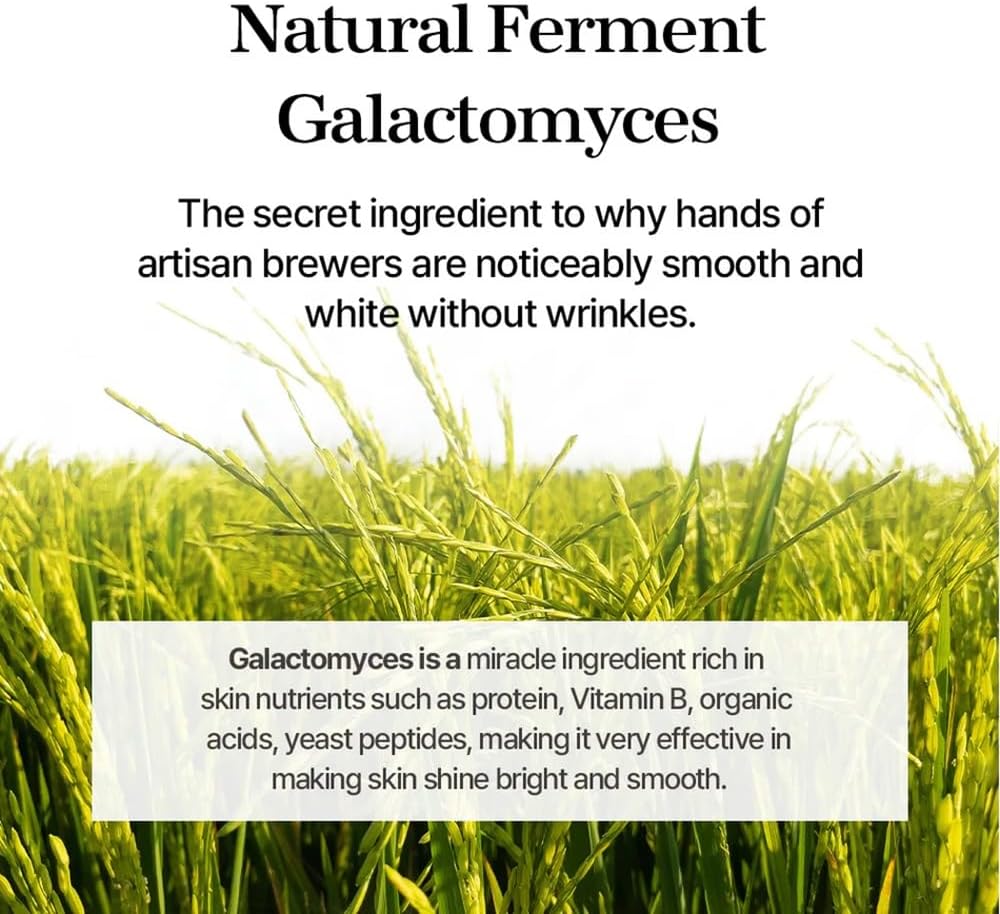Mixsoon - Galactomyces Ferment Essence 100ml