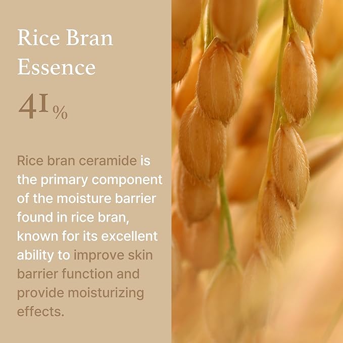 I'm From Rice Cream
