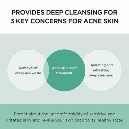 Skin1004 – Madagascar Centella Tea-BHA Foam 125ml