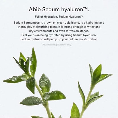 Abib - Sedum Hyaluron Crème Hydrating Pot 80ml