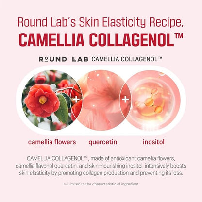 Round Lab – Camellia Deep Collagen Firming Ampoule 30ml