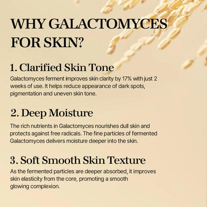 Mixsoon - Galactomyces Ferment Essence 100ml